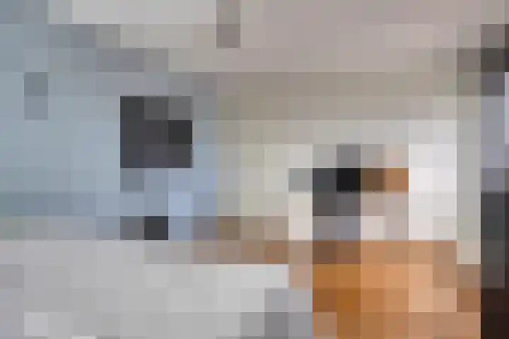Steenbergenerf 6 Tilburg thumbnail 25