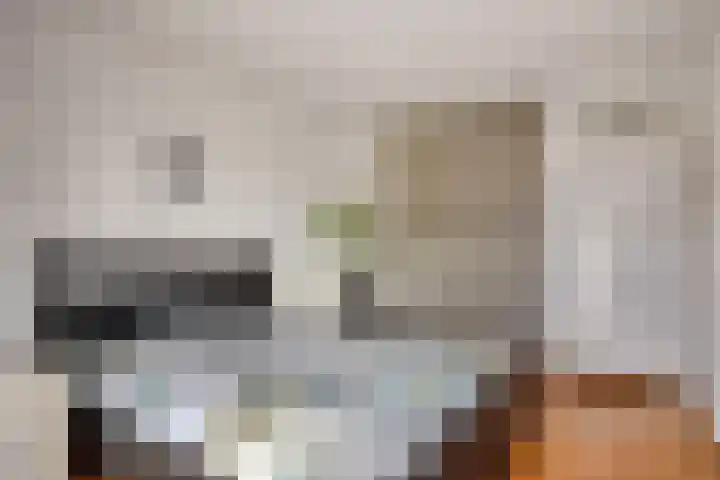 Steenbergenerf 6 Tilburg thumbnail 26