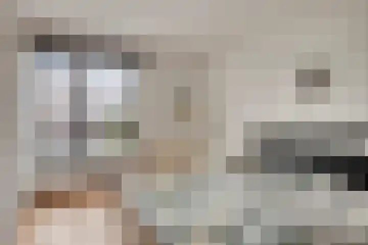 Steenbergenerf 6 Tilburg thumbnail 27
