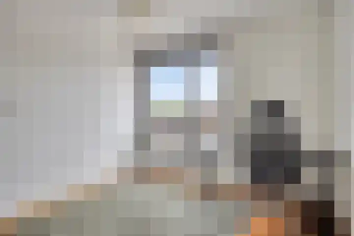 Steenbergenerf 6 Tilburg thumbnail 32