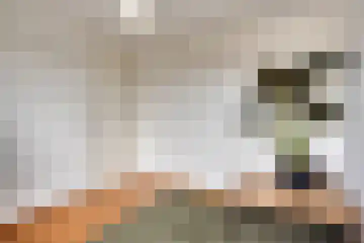 Steenbergenerf 6 Tilburg thumbnail 33
