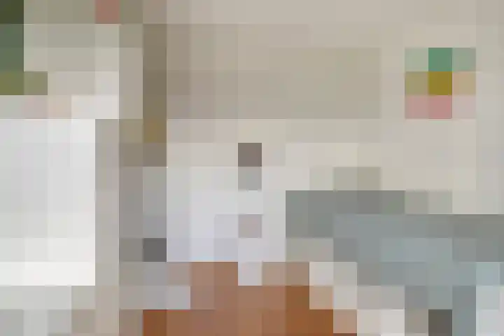 Steenbergenerf 6 Tilburg thumbnail 34
