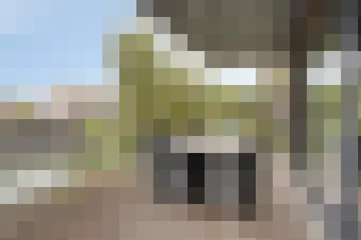 Steenbergenerf 6 Tilburg thumbnail 36