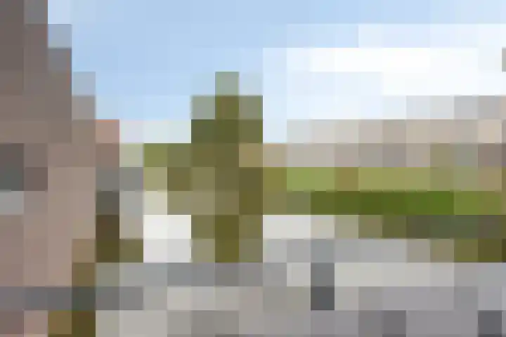 Steenbergenerf 6 Tilburg thumbnail 38