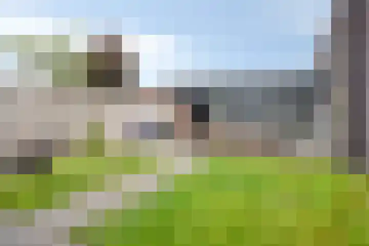 Steenbergenerf 6 Tilburg thumbnail 39