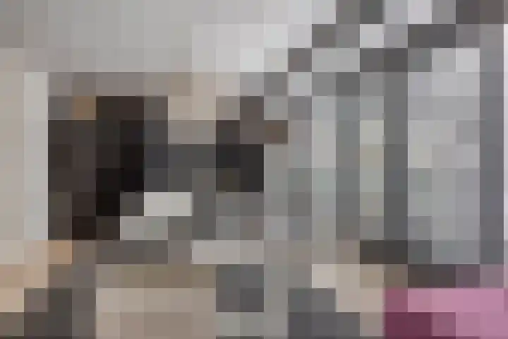 Steenbergenerf 6 Tilburg thumbnail 40