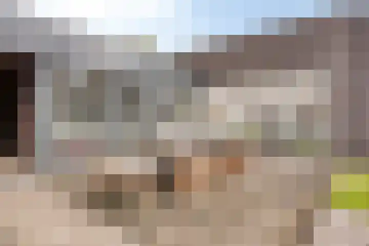 Steenbergenerf 6 Tilburg thumbnail 41