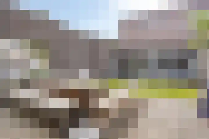Steenbergenerf 6 Tilburg thumbnail 42