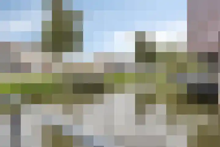 Steenbergenerf 6 Tilburg thumbnail 44