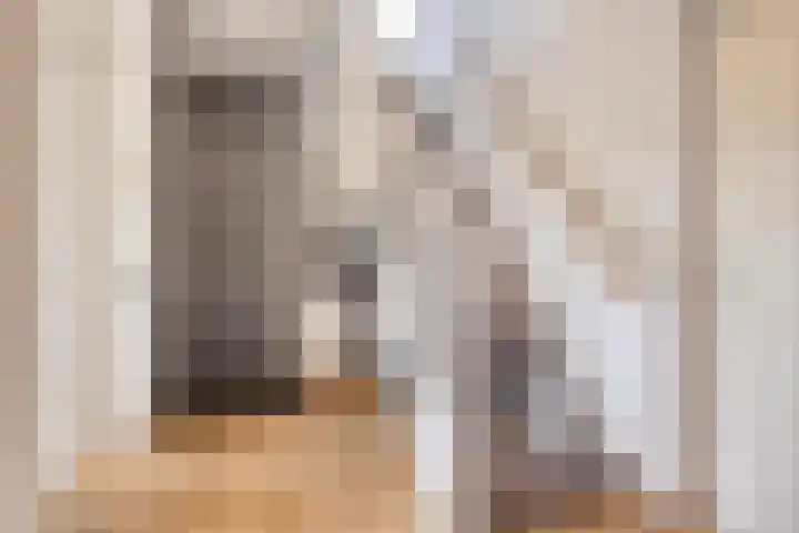 Steenbergenerf 6 Tilburg thumbnail 5