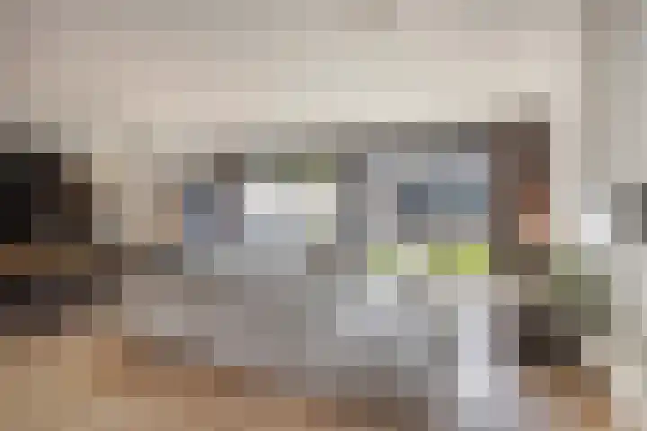 Steenbergenerf 6 Tilburg thumbnail 7