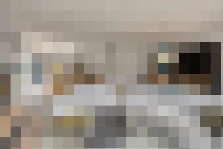 Steenbergenerf 6 Tilburg thumbnail 9