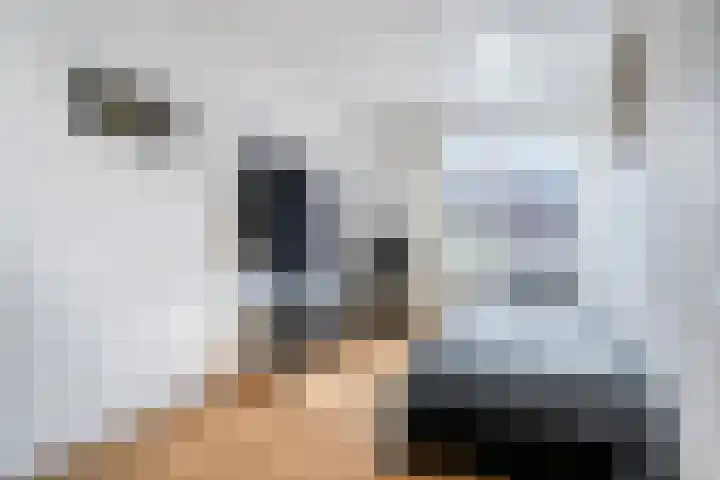 Steenbergenstraat 17 Eindhoven thumbnail 13