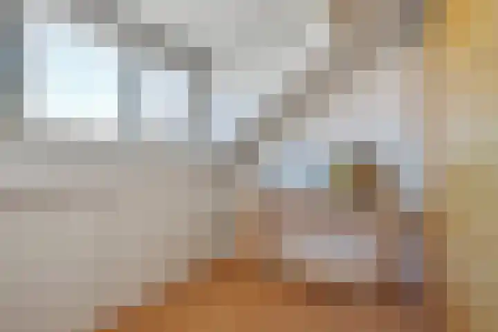 Steenbergenstraat 17 Eindhoven thumbnail 22