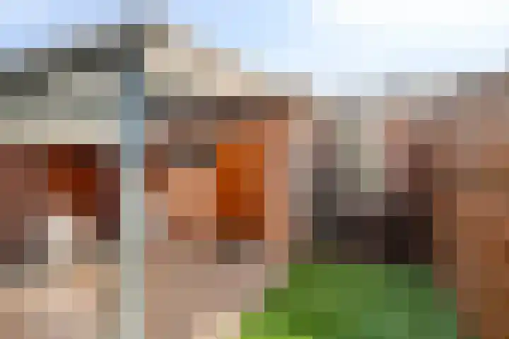Steenbergenstraat 17 Eindhoven thumbnail 25