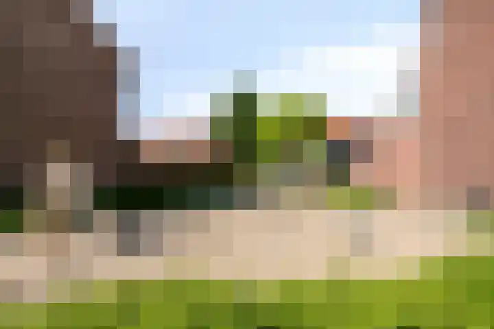 Steenbergenstraat 17 Eindhoven thumbnail 29