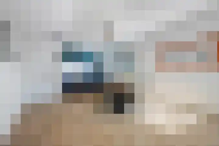 Steenbergenstraat 17 Eindhoven thumbnail 5