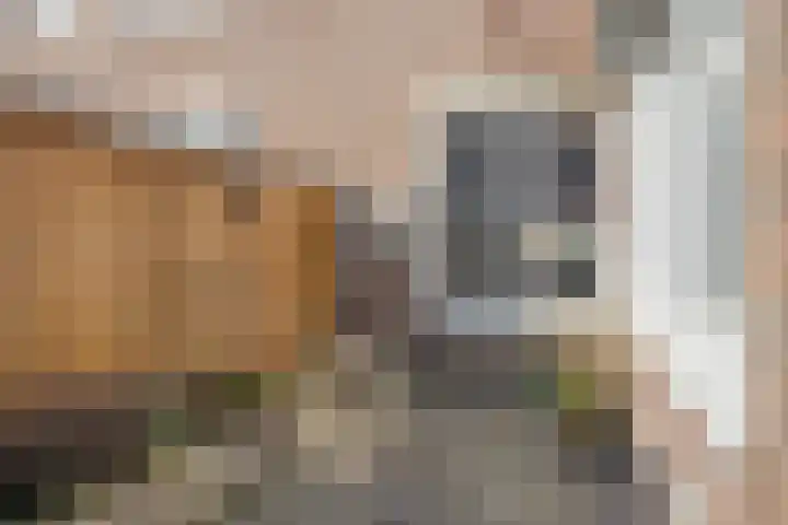 Steenbergenstraat 19 Eindhoven thumbnail 25