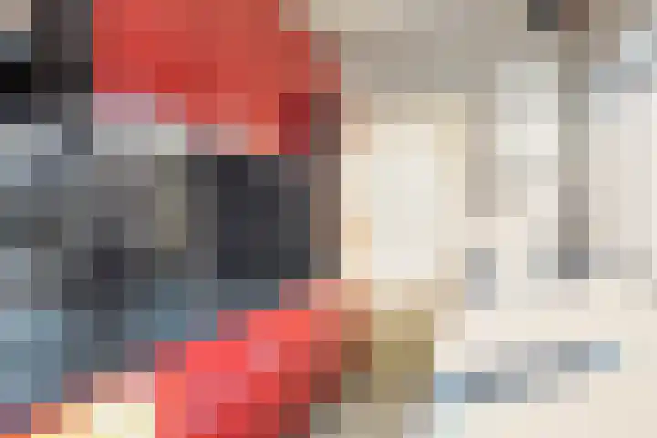 Steenbergenstraat 19 Eindhoven thumbnail 9