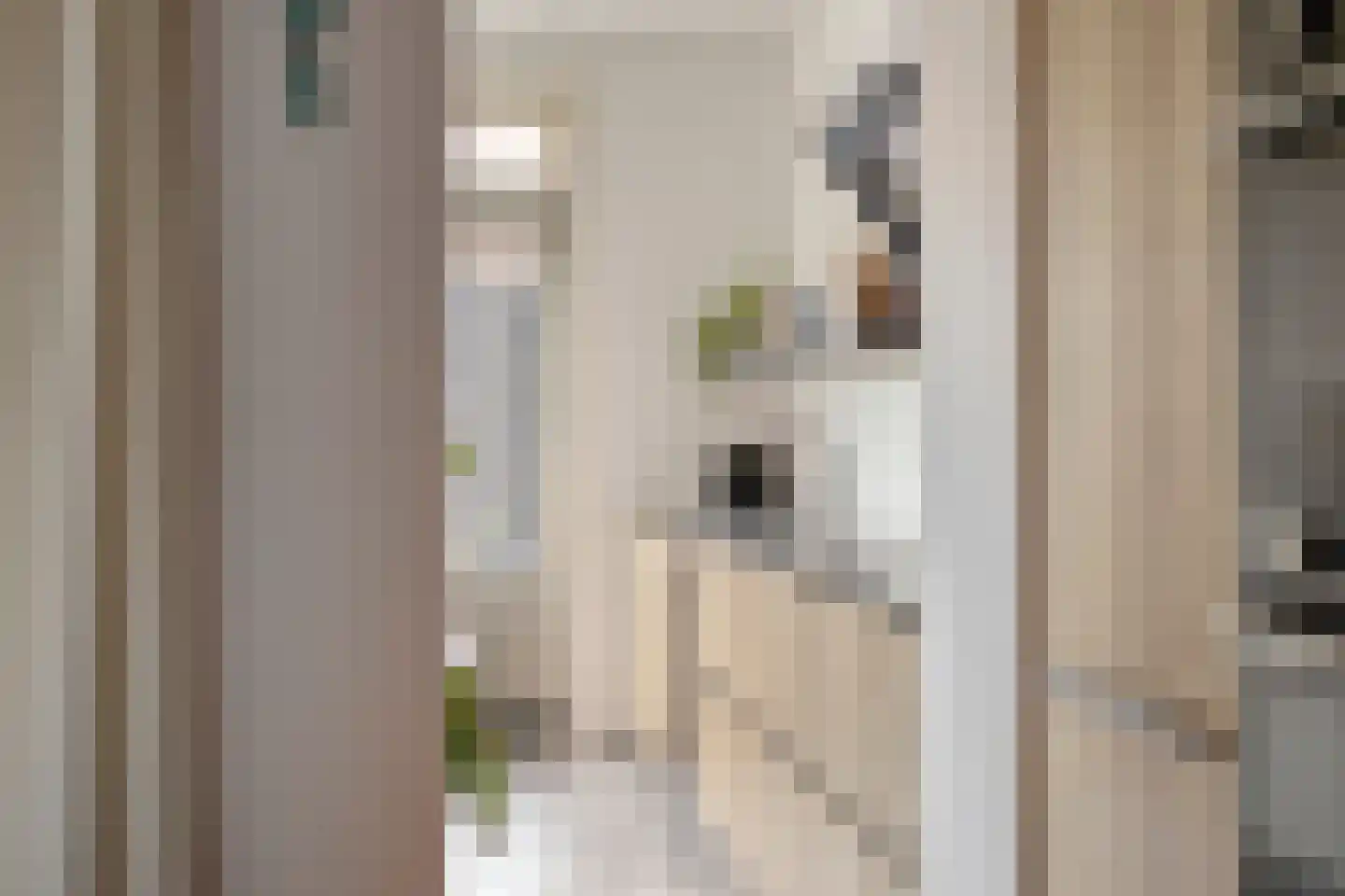 Steenbergenstraat 33 Eindhoven thumbnail 14