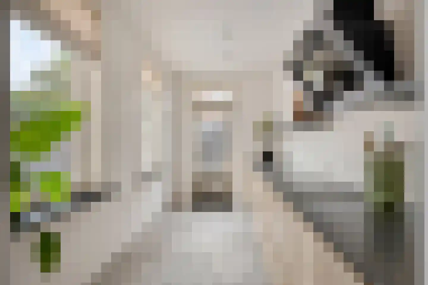 Steenbergenstraat 33 Eindhoven thumbnail 15
