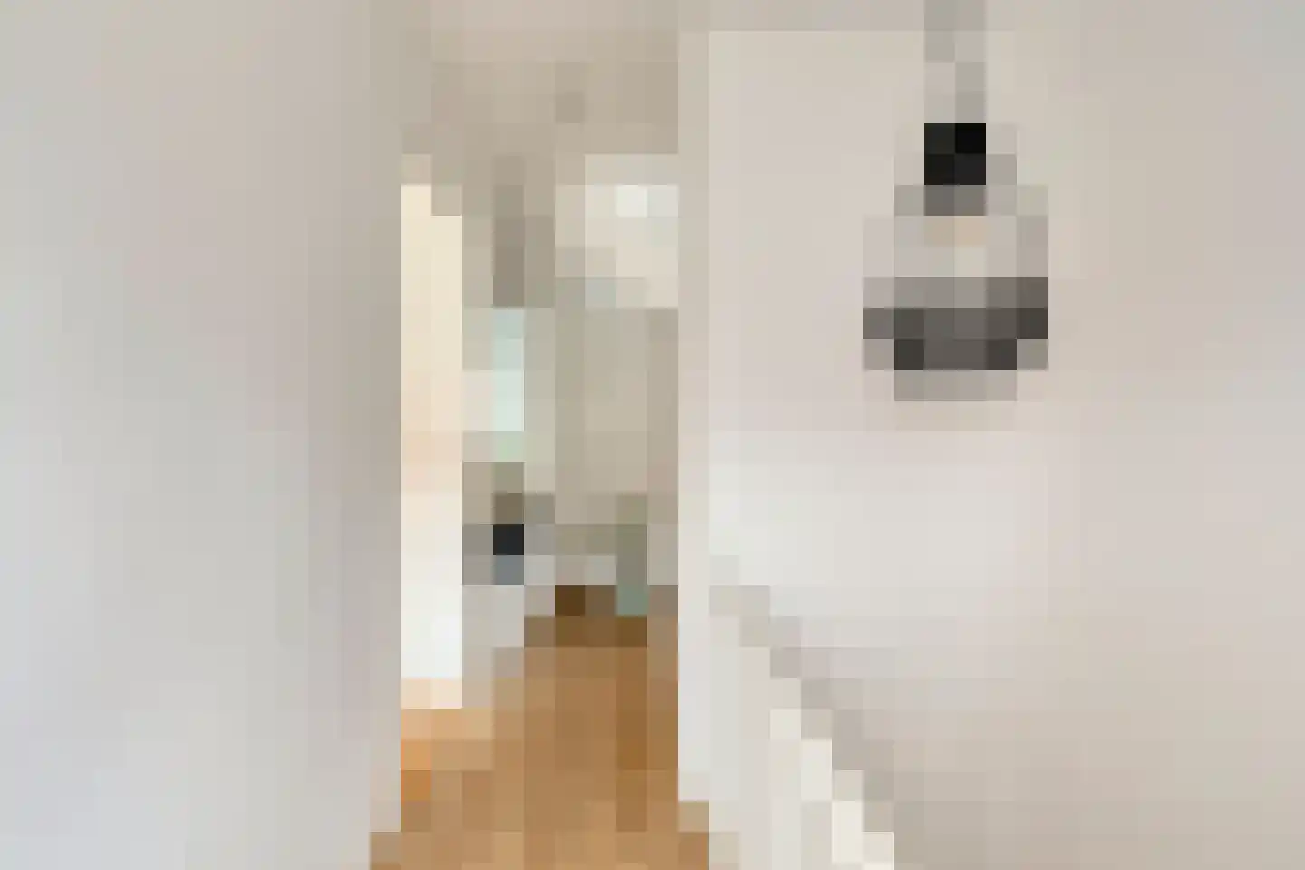 Steenbergenstraat 33 Eindhoven thumbnail 21