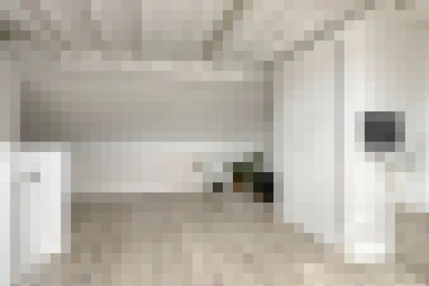 Steenbergenstraat 33 Eindhoven thumbnail 31