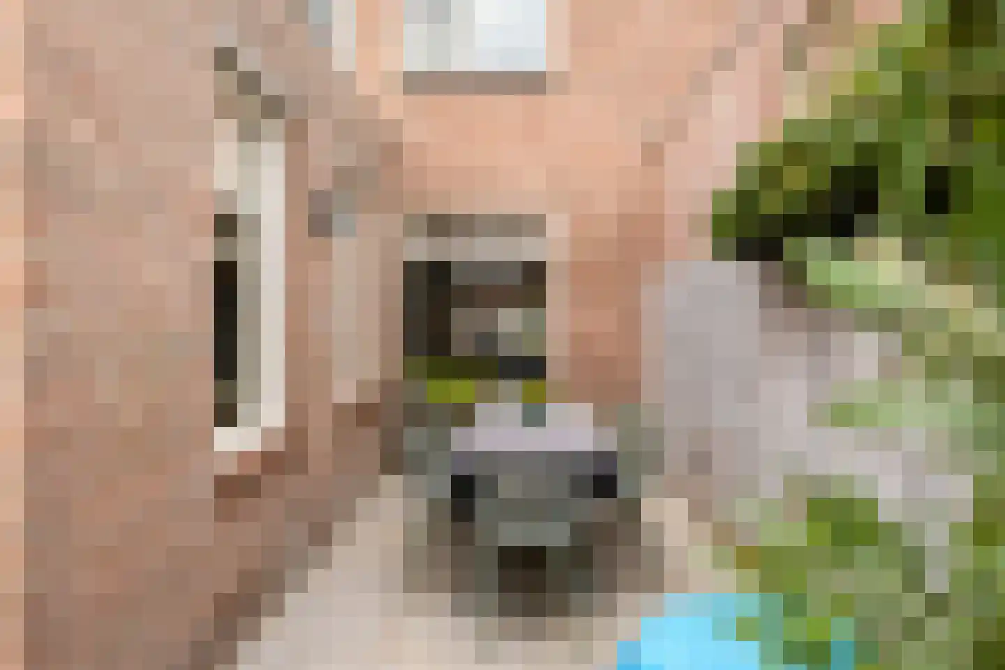 Steenbergenstraat 33 Eindhoven thumbnail 36
