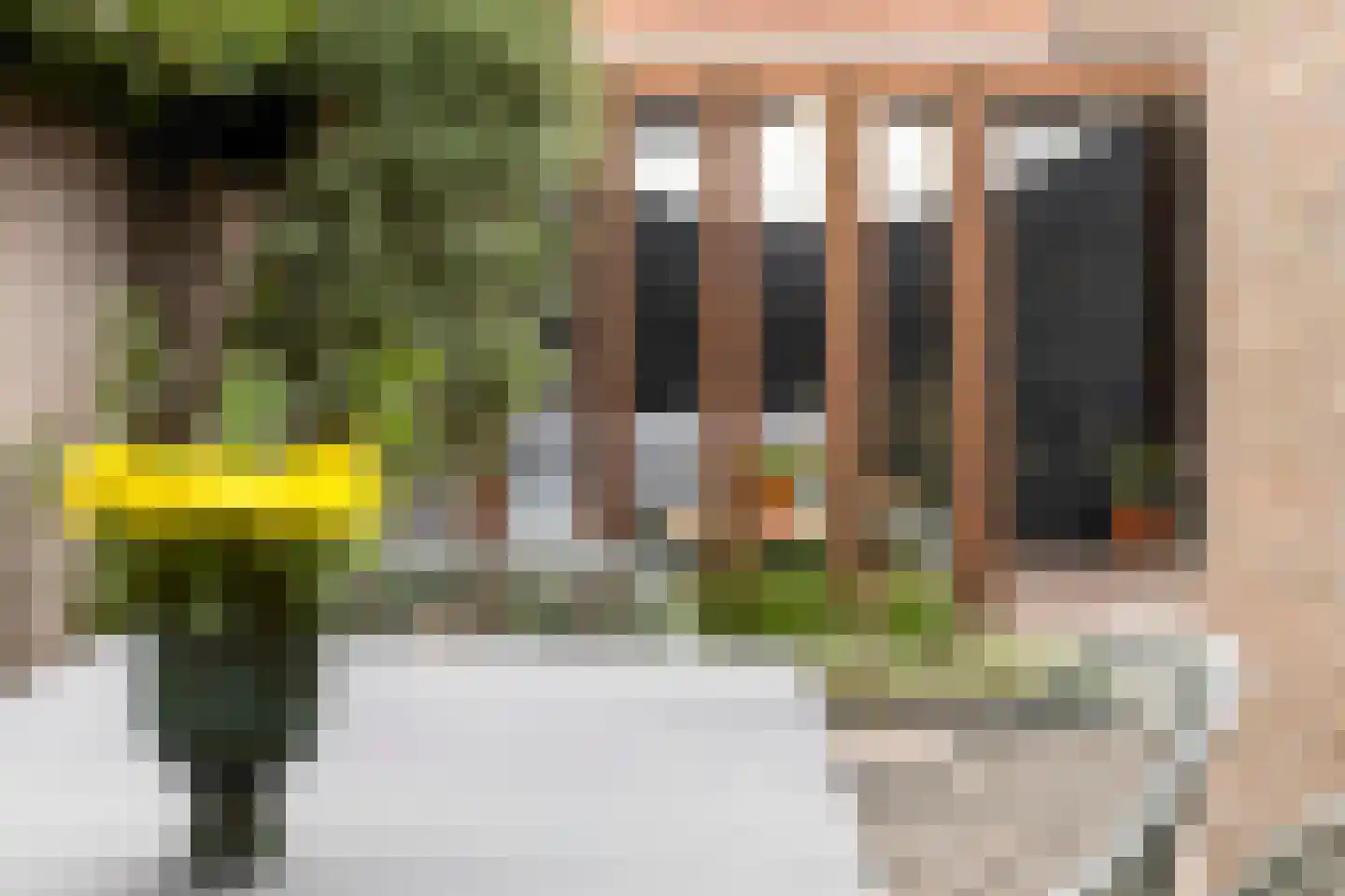 Steenbergenstraat 33 Eindhoven thumbnail 39