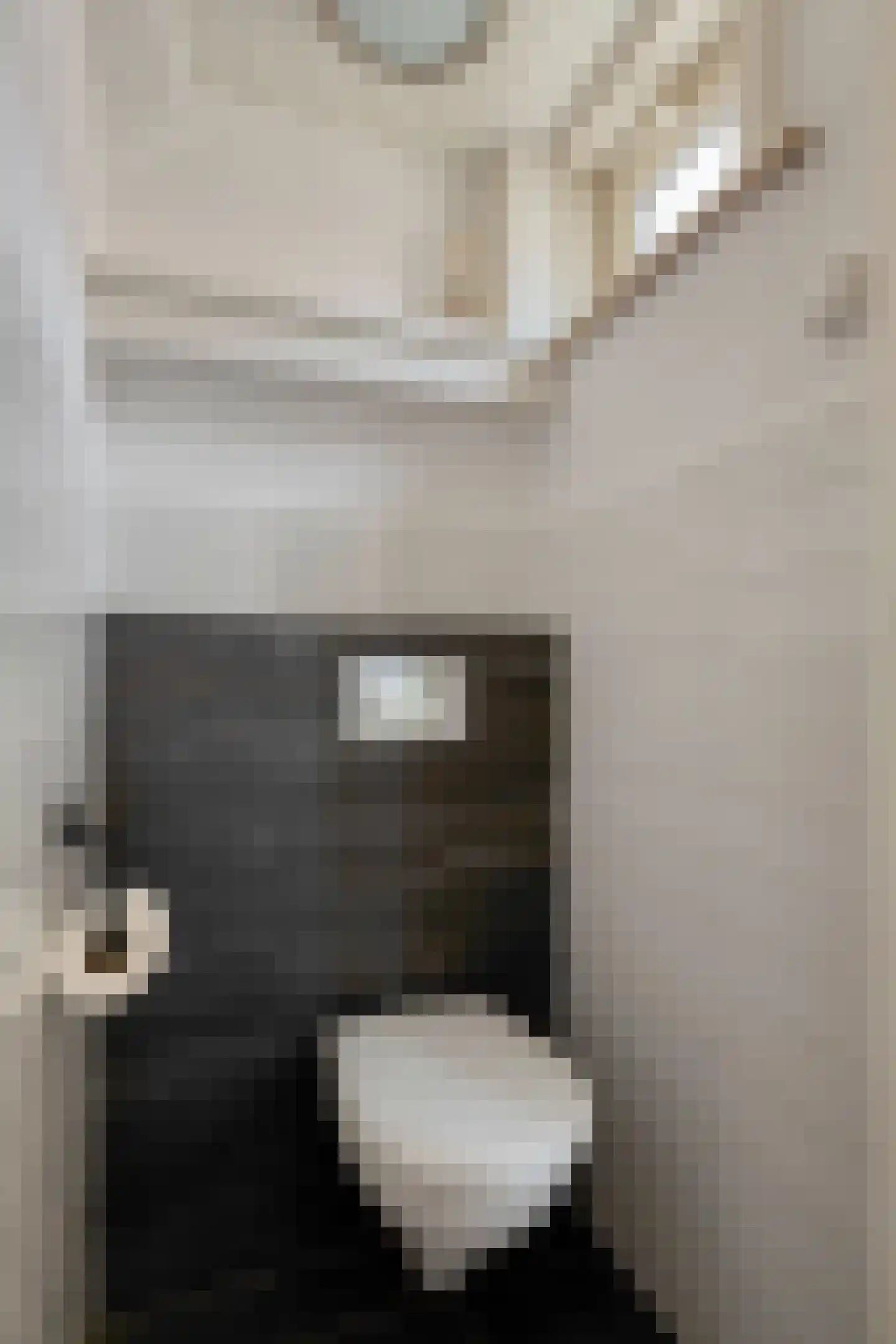 Steenbergenstraat 33 Eindhoven thumbnail 6