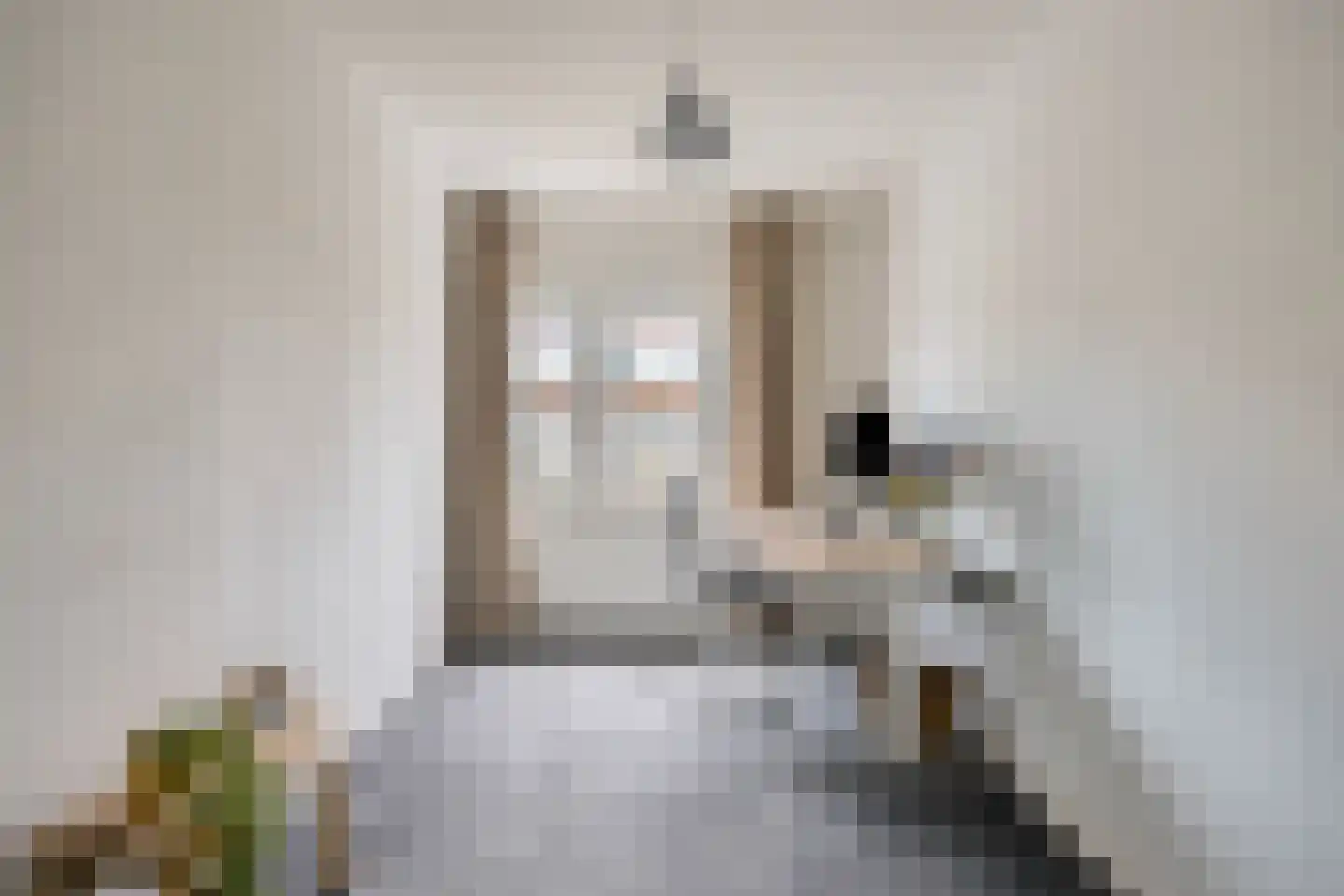 Steenbergenstraat 35 Eindhoven thumbnail 24