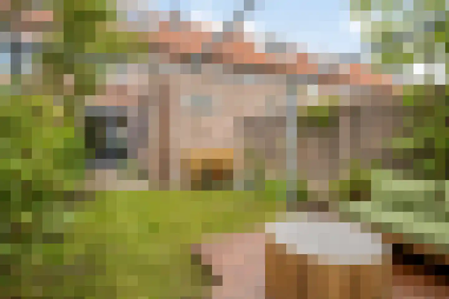 Steenbergenstraat 35 Eindhoven thumbnail 31
