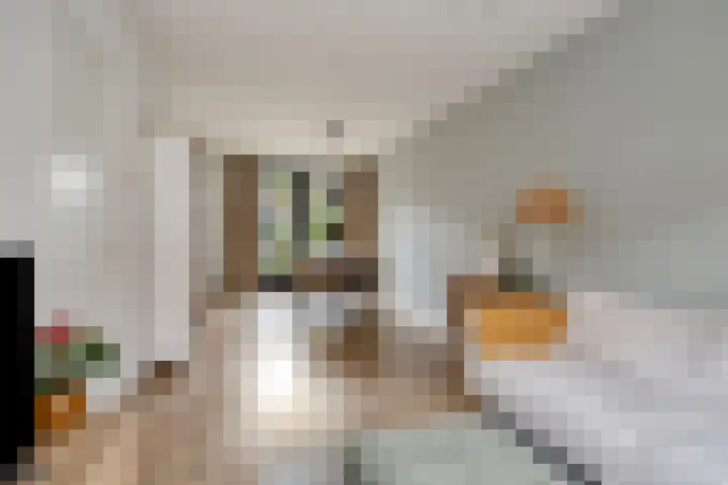 Steenbergenstraat 35 Eindhoven thumbnail 8