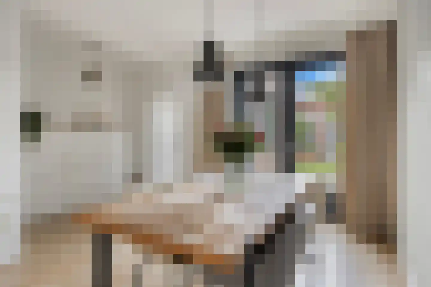 Steenbergenstraat 35 Eindhoven thumbnail 9