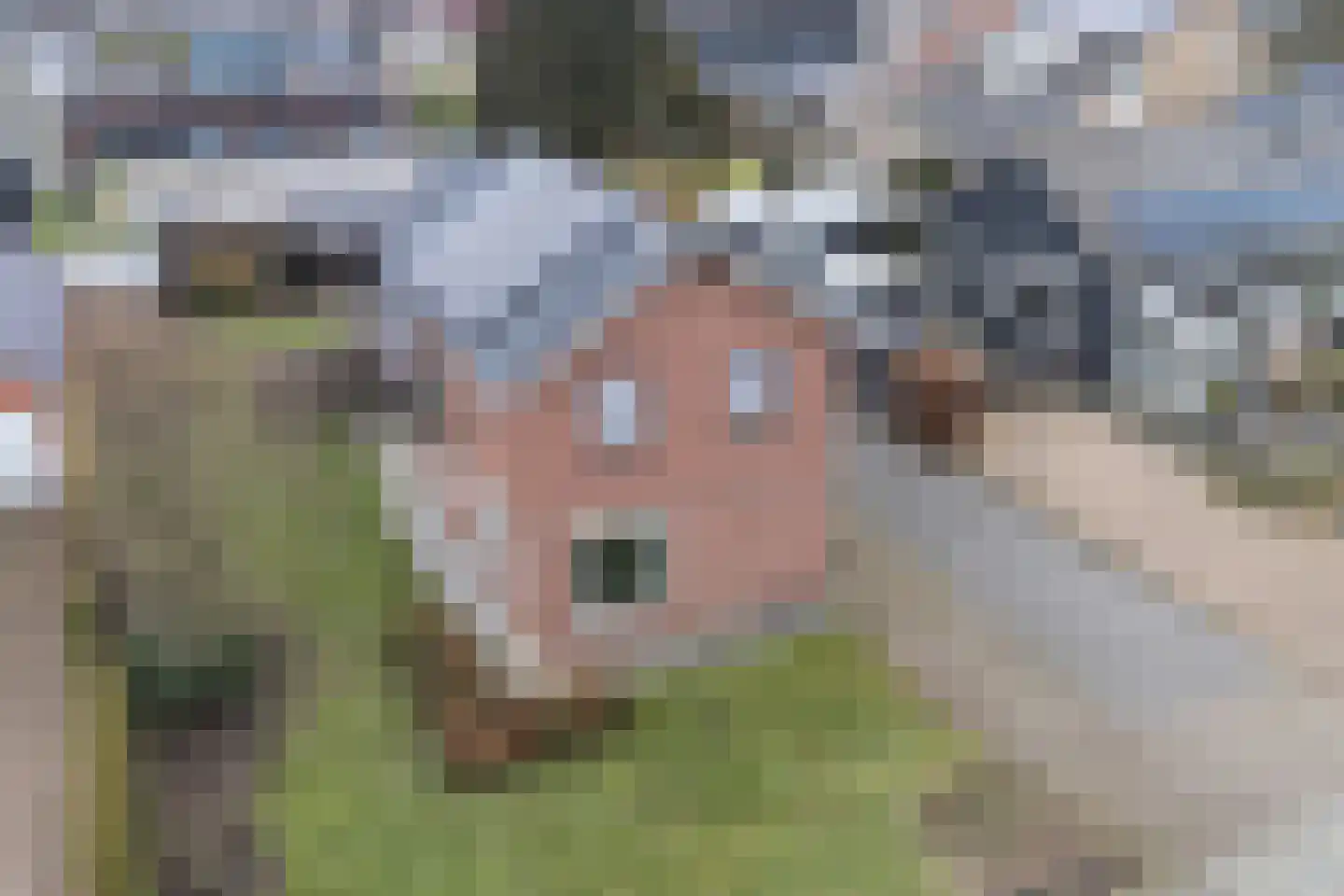 Steenberger Esweg 17 Zuidwolde thumbnail 32