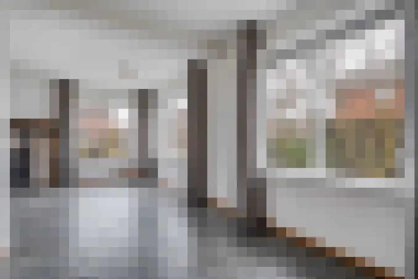 Steenberger Esweg 17 Zuidwolde thumbnail 8