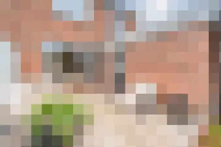 Steenberger Esweg 3 Zuidwolde thumbnail 23