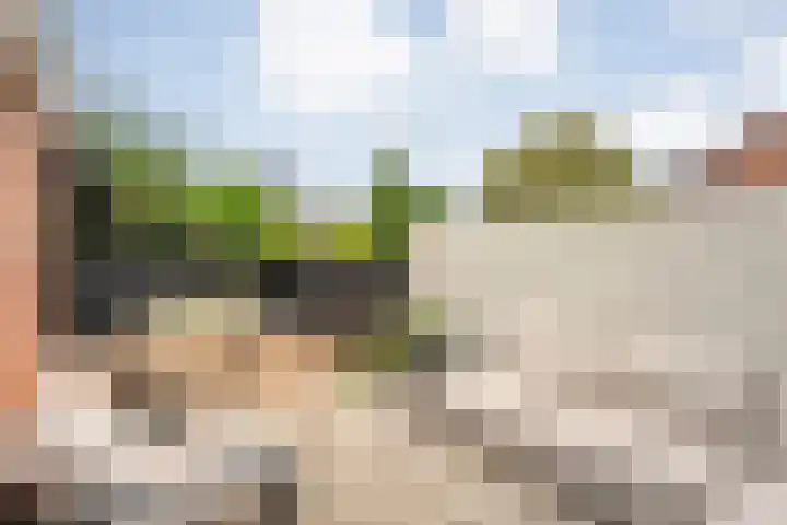 Steenberger Esweg 3 Zuidwolde thumbnail 24