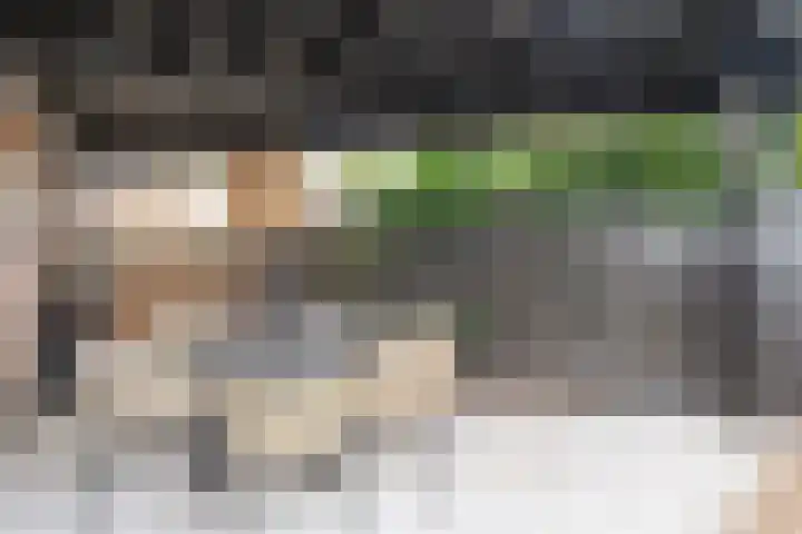 Steenberger Esweg 3 Zuidwolde thumbnail 26