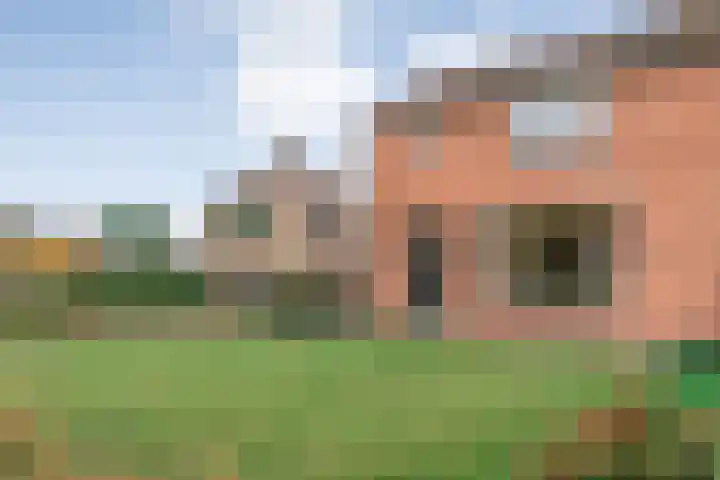 Steenberger Esweg 3 Zuidwolde thumbnail 31