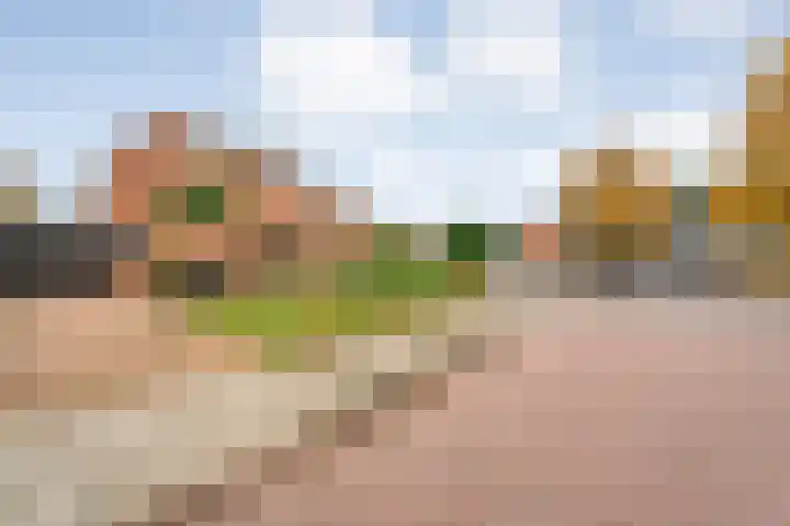 Steenberger Esweg 3 Zuidwolde thumbnail 33