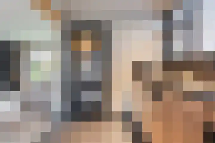 Steenberger Esweg 3 Zuidwolde thumbnail 6