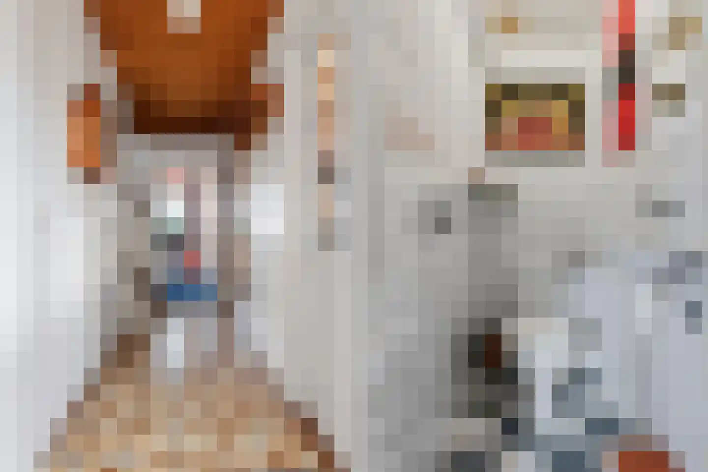 Steenbergerveld 1 a Huissen thumbnail 15