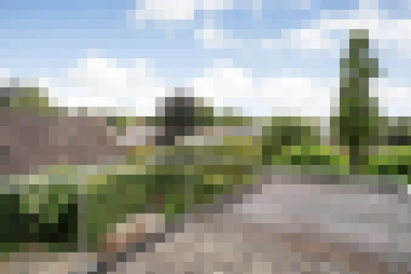 Steenbergerweg 5 Zuidwolde thumbnail 33