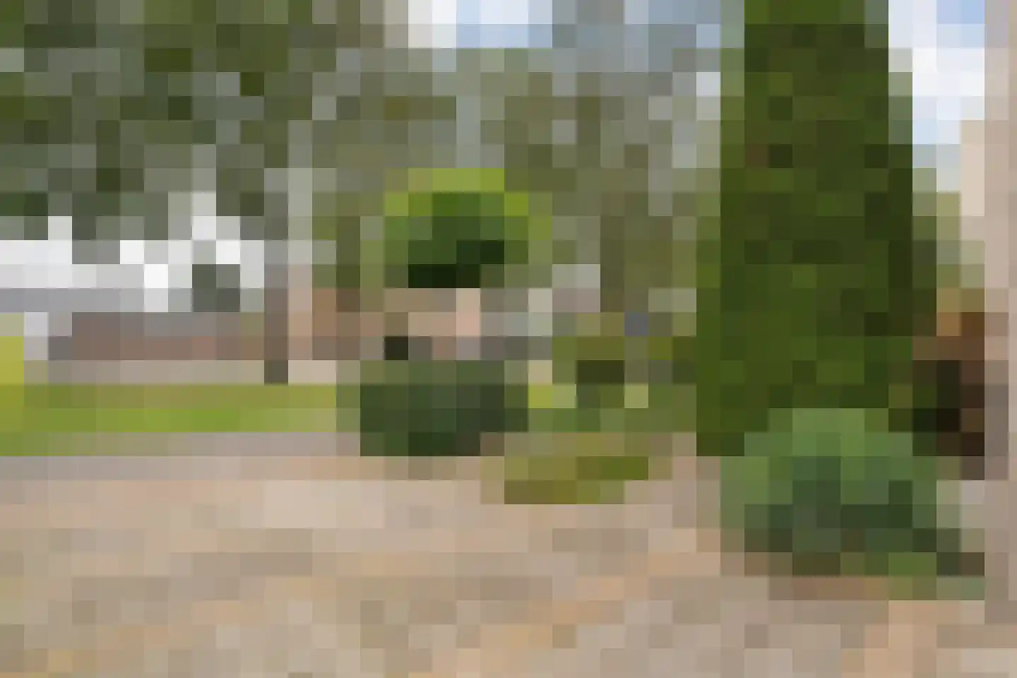 Steenbergerweg 5 Zuidwolde thumbnail 39
