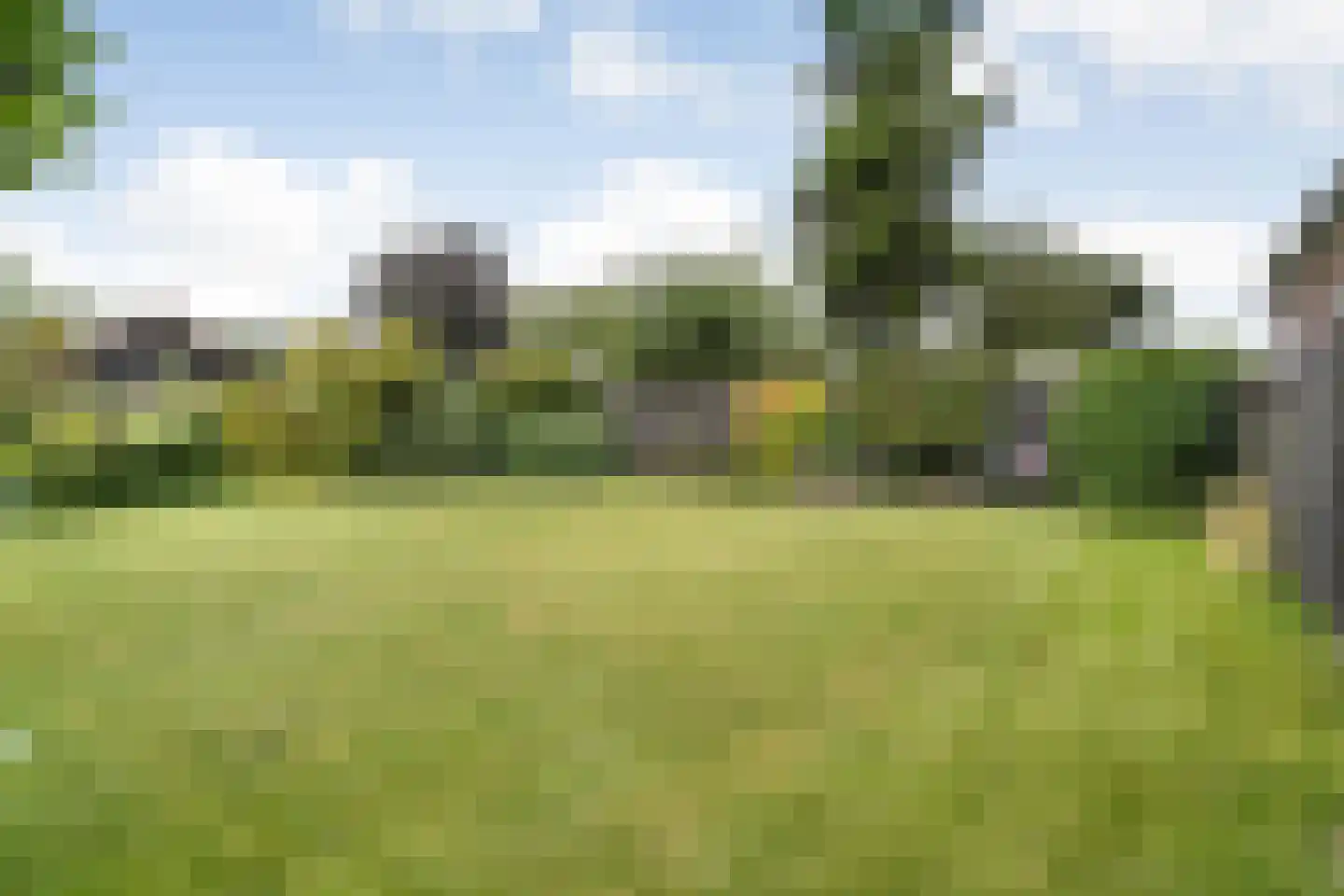 Steenbergerweg 5 Zuidwolde thumbnail 4