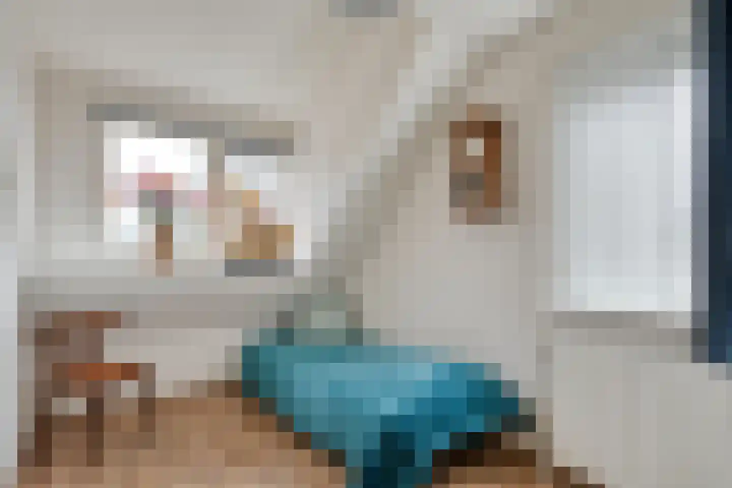 Steenbergerwijk 20 Dedemsvaart thumbnail 29