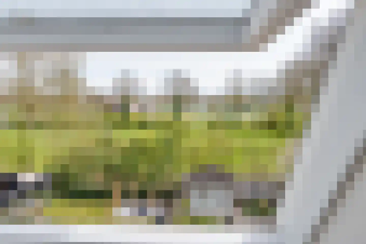 Steenbergerwijk 20 Dedemsvaart thumbnail 40