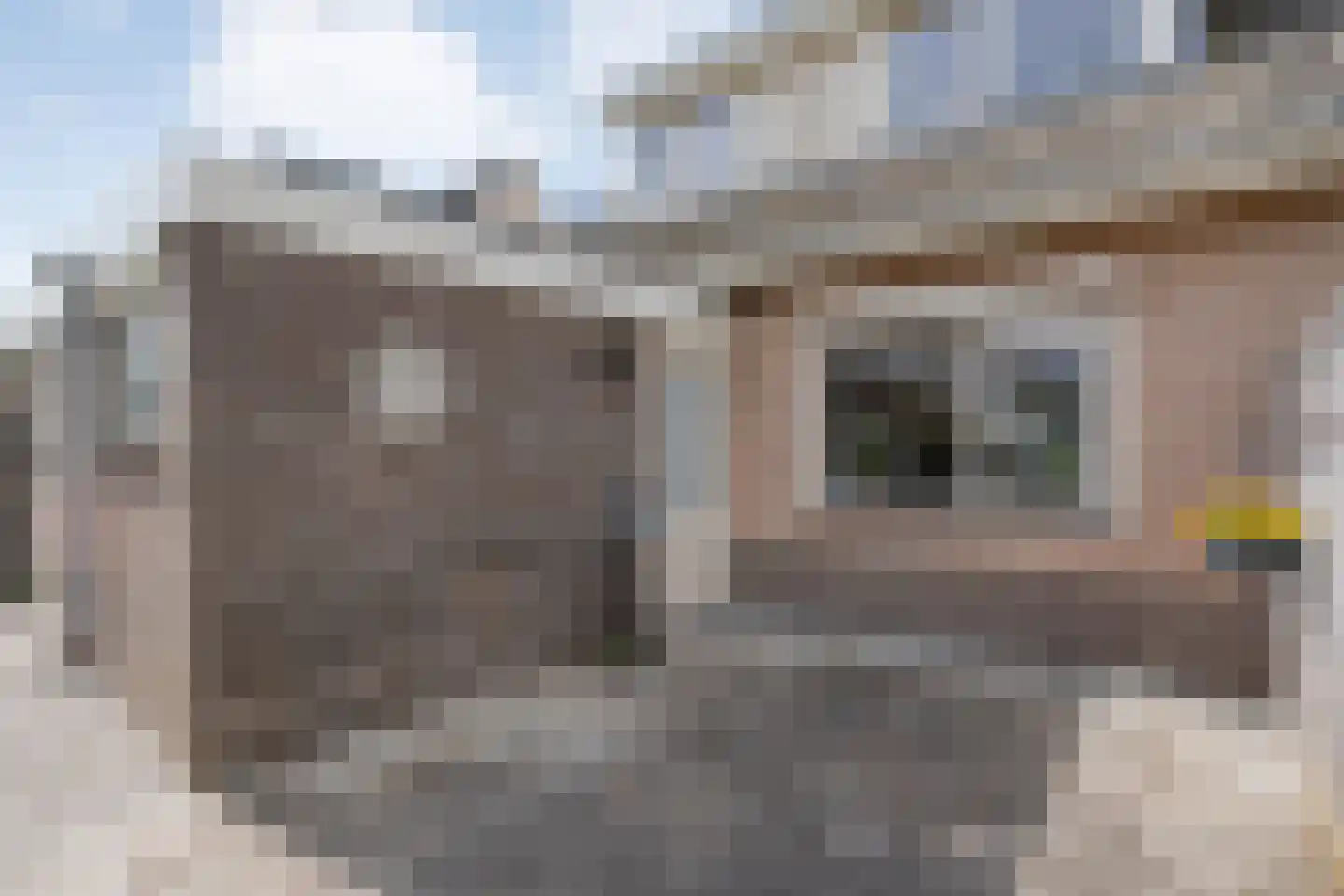Steenbergerwijk 20 Dedemsvaart thumbnail 41