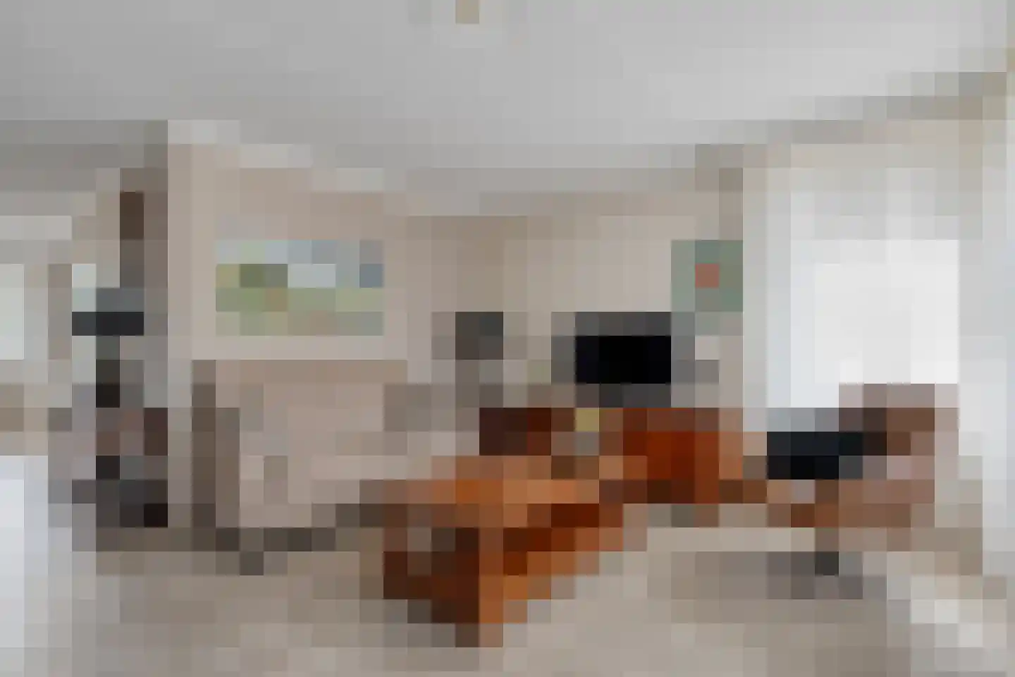Steenbergerwijk 20 Dedemsvaart thumbnail 9